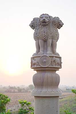 Lion Capital_22ft