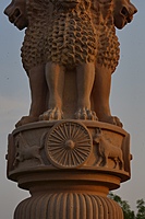 Lion Capital_22ft Lion Capital_22ft