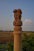 Lion Capital_22ft Lion Capital_22ft