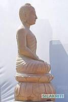 Dhyana Buddha Dhyana Buddha